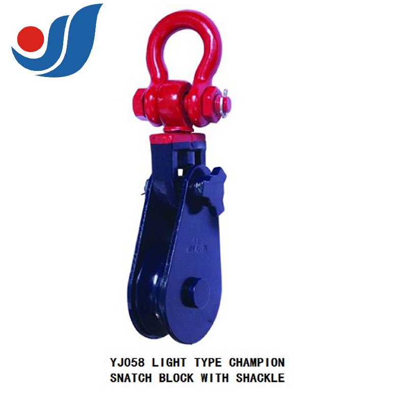 H419 LIGHT TYPE CHAMPION SNATCH BLOCK WITH SHCKLE